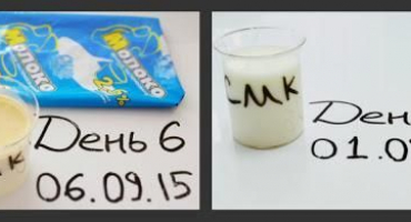 Proč se kravské mléko nezkysne na kyselé mléko, důvody a co dělat